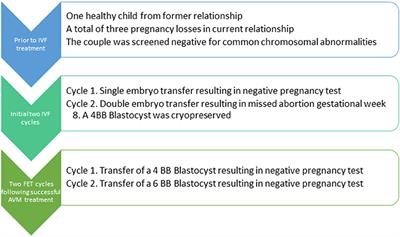 Treatment of Abnormal Vaginal Microbiota before Frozen Embryo Transfer: Case-Report and Minireview to Discuss the Longitudinal Treatment Efficacy of Oral Clindamycin